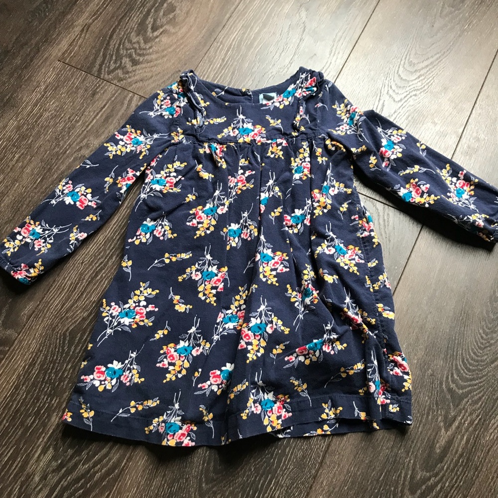 Baby Gap Floral Dress